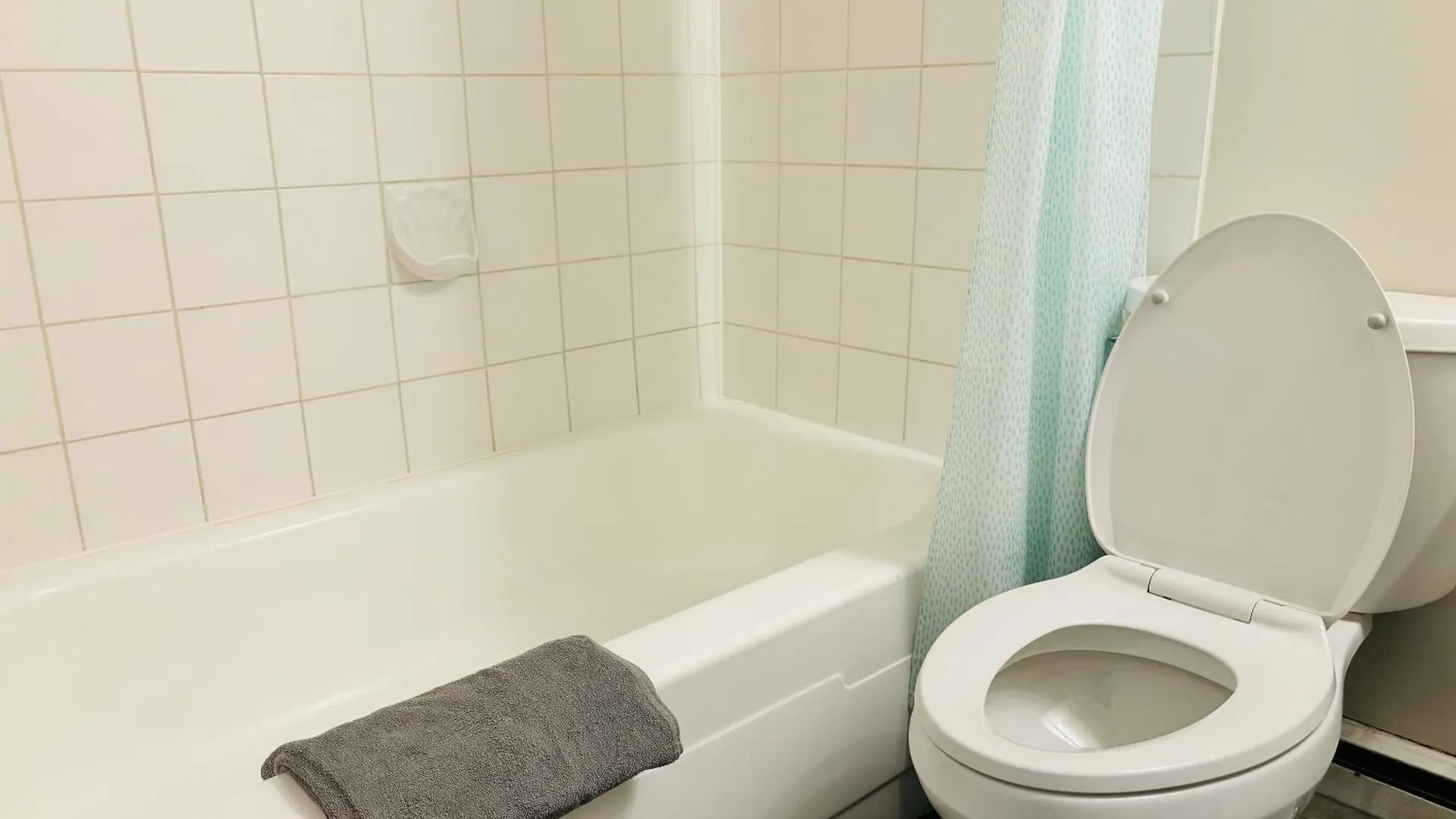 Cozy 1 Bedroom Condo With Parking Calgary Apartment